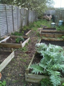 Tidied raised beds ready for another year of vegetable growing